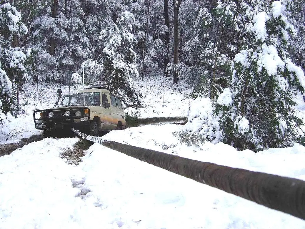 Стропа "Черная змея " 10м  8т